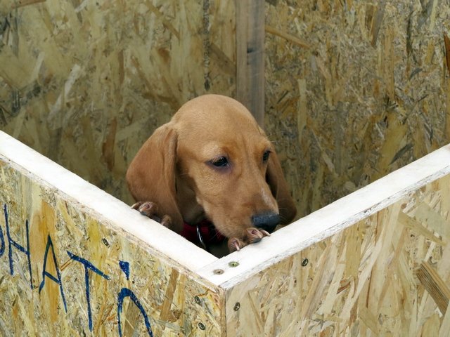 Megyei Közfoglalkoztatási Kiállítás 073